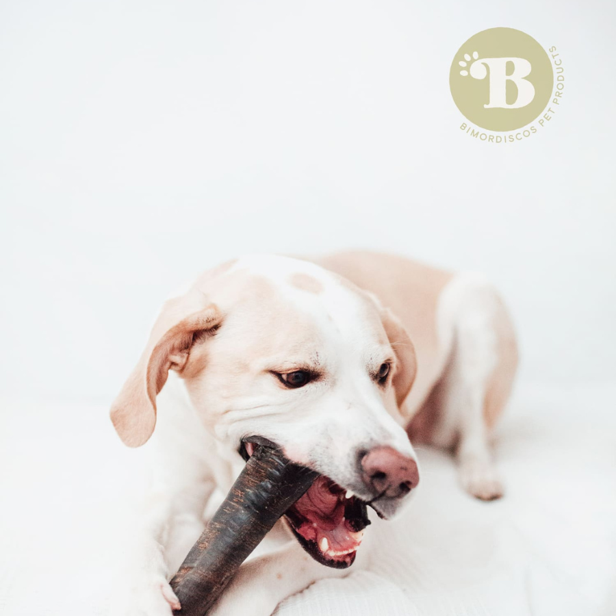 BIMORDISCOS mordedor Cuerno de b&uacute;falo para perros, , large Imagen numero 5